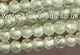 CTG2246 15 inches 2mm faceted round natural prehnite beads