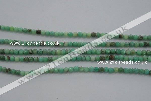 CTG225 15.5 inches 3mm faceted round tiny grass agate beads