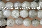 CTG3585 15.5 inches 4mm faceted round labradorite beads