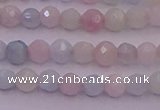 CTG505 15.5 inches 4mm faceted round tiny morganite beads