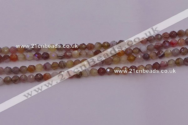 CTG514 15.5 inches 4mm faceted round tiny botswana agate beads