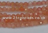 CTG610 15.5 inches 3mm faceted round golden sunstone beads