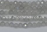 CTG613 15.5 inches 3mm faceted round labradorite beads