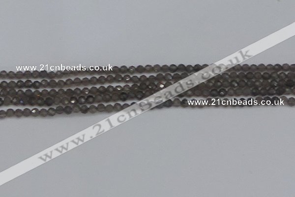 CTG640 15.5 inches 3mm faceted round smoky black obsidian beads