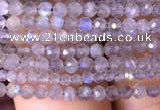 CTG700 15.5 inches 2mm faceted round tiny labradorite beads