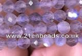 CTG703 15.5 inches 5mm faceted round tiny labradorite beads