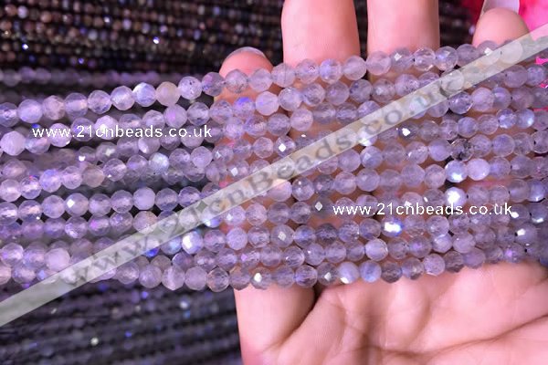 CTG703 15.5 inches 5mm faceted round tiny labradorite beads