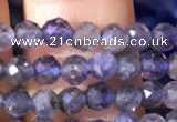 CTG755 15.5 inches 4mm faceted round tiny iolite gemstone beads