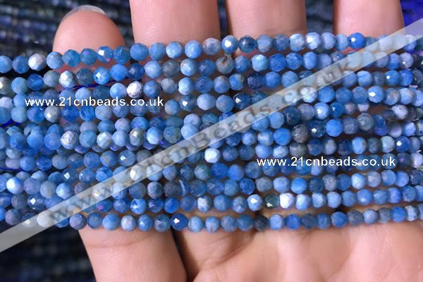 CTG761 15.5 inches 4mm faceted round tiny apatite gemstone beads