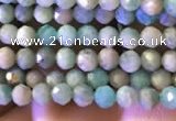 CTG774 15.5 inches 2mm faceted round tiny amazonite beads wholesale