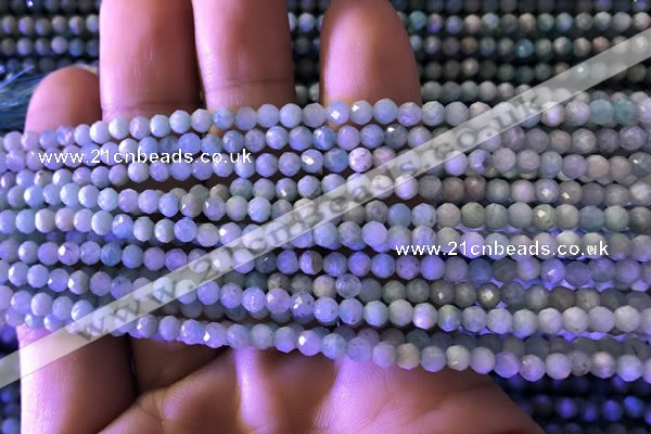 CTG775 15.5 inches 3mm faceted round tiny amazonite beads wholesale