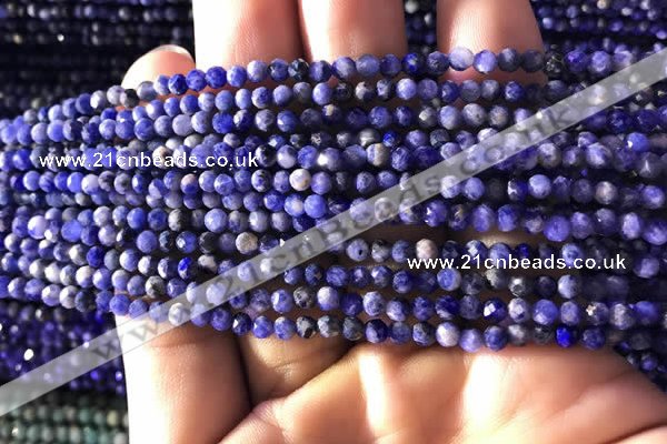 CTG779 15.5 inches 3mm faceted round tiny sodalite beads wholesale