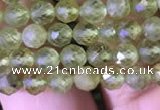 CTG814 15.5 inches 5mm faceted round tiny prehnite beads