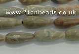 CTR81 15.5 inches 6*16mm faceted teardrop chrysanthemum agate beads