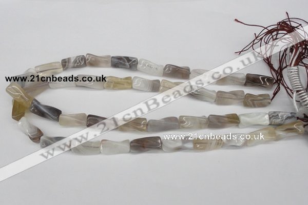 CTW123 15.5 inches 9*20mm twisted trihedron botswana agate beads