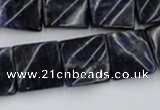 CTW355 15.5 inches 16*16mm twisted square sodalite gemstone beads