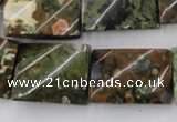 CTW398 15.5 inches 18*25mm twisted rectangle rhyolite gemstone beads