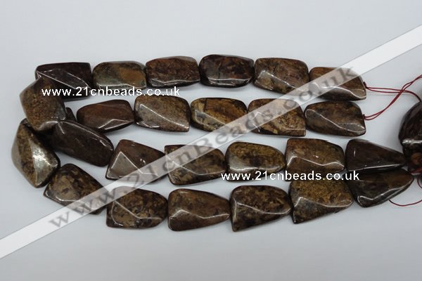 CTW410 15.5 inches 22*30mm twisted bronzite gemstone beads