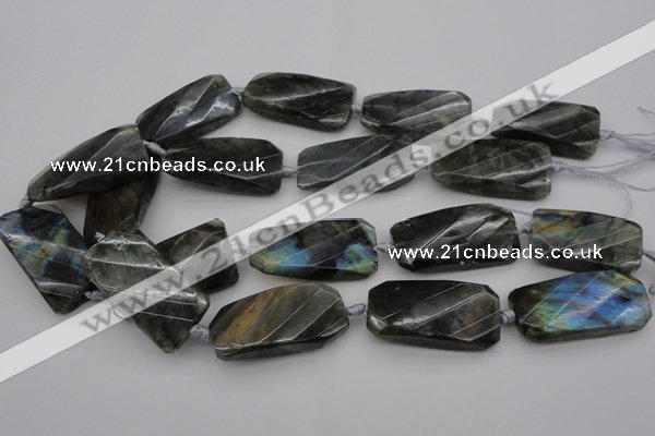 CTW457 20*38mm faceted & twisted rectangle labradorite beads