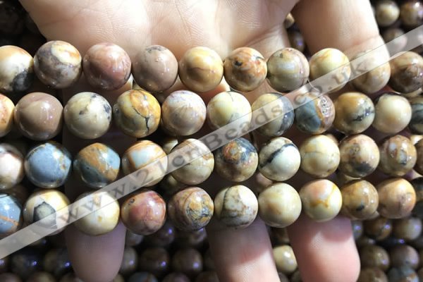 CVJ04 15.5 inches 10mm round venus jasper beads wholesale
