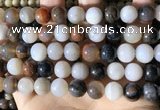 CWJ572 15.5 inches 12mm round Arizona petrified wood jasper beads