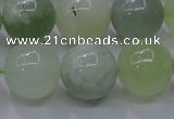 CXJ206 15.5 inches 16mm round New jade beads wholesale