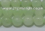 CXJ503 15.5 inches 10mm round New jade beads wholesale