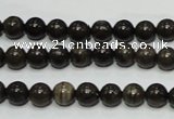 CZJ02 16 inches 6mm round zebra jasper gemstone beads Wholesale