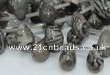 CZJ16 16 inches 8*12mm teardrop zebra jasper gemstone beads wholesale