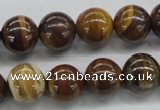 CZJ172 15.5 inches 12mm round iron zebra jasper beads wholesale