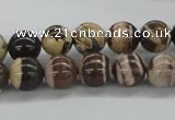 CZJ251 15.5 inches 10mm round zebra jasper beads wholesale