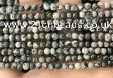 CZJ410 15.5 inches 4mm round green zebra jasper beads wholesale