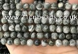 CZJ412 15.5 inches 8mm round green zebra jasper beads wholesale