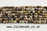 CZJ420 15.5 inches 4mm round Australian zebra jasper beads wholesale