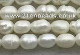 FWP157 14.5 inches 3mm - 4mm rice white freshwater pearl strands