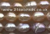 FWP160 14.5 inches 4.2mm rice purple freshwater pearl strands