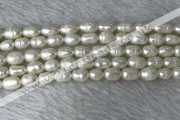 FWP171 14.5 inches 5mm - 6mm rice white freshwater pearl strands