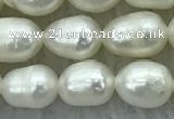 FWP174 14.5 inches 5mm - 6mm rice white freshwater pearl strands