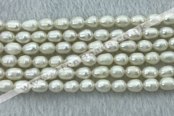 FWP174 14.5 inches 5mm - 6mm rice white freshwater pearl strands