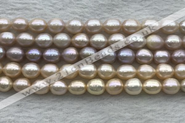 FWP194 15 inches 7mm - 8mm rice light purple freshwater pearl strands