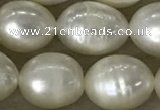 FWP200 15 inches 8mm - 9mm rice white freshwater pearl strands