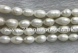 FWP205 15 inches 10mm - 11mm rice white freshwater pearl strands