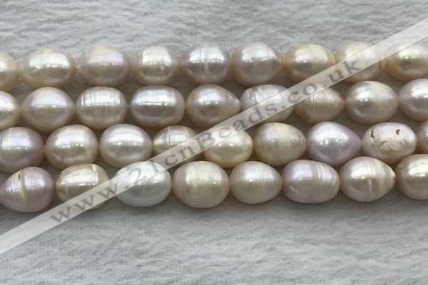 FWP206 15 inches 10mm - 11mm rice white freshwater pearl strands