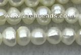 FWP21 14.5 inches 3mm - 3.5mm potato white freshwater pearl strands
