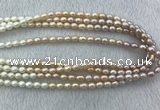 FWP210 15 inches 6mm - 7mm rice mixed color freshwater pearl strands