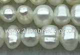 FWP28 14.5 inches 4.8mm potato white freshwater pearl strands