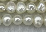 FWP40 14.5 inches 4mm - 5mm potato white freshwater pearl strands