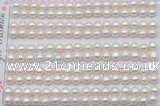 FWP454 half-drilled 5-5.5mm bread freshwater pearl beads