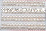 FWP455 half-drilled 5.5-6mm bread freshwater pearl beads