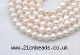 FWP482 14 inches 7mm - 8mm potato white freshwater pearl strands